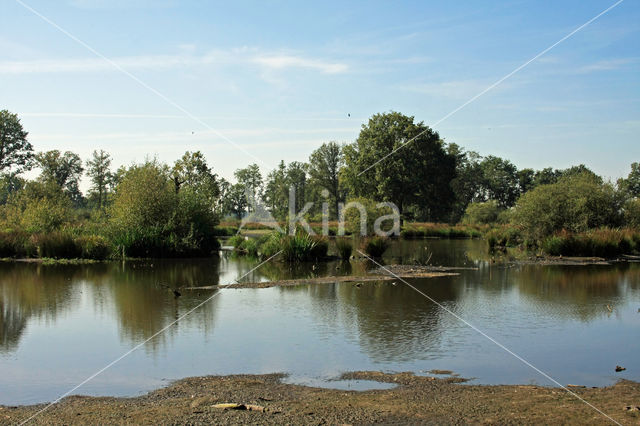 Empese en Tondense Heide