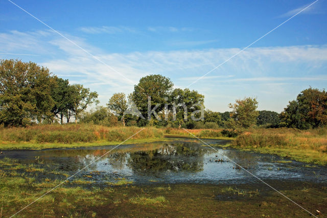 Empese en Tondense Heide