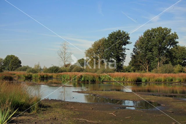 Empese en Tondense Heide