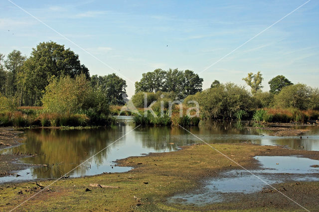 Empese en Tondense Heide