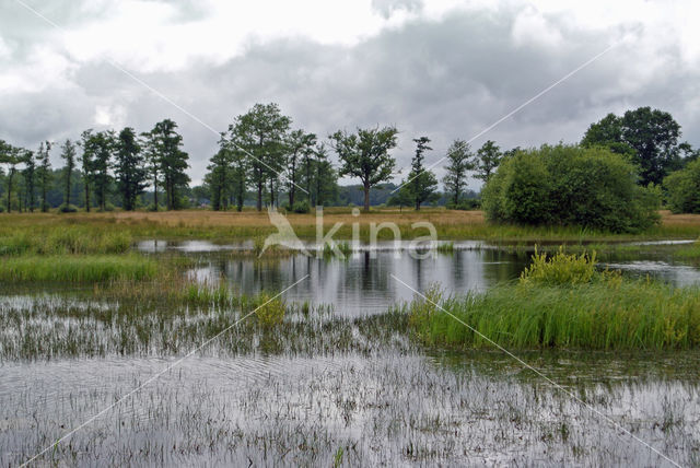 Empese en Tondense Heide