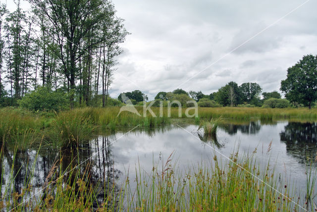 Empese en Tondense Heide