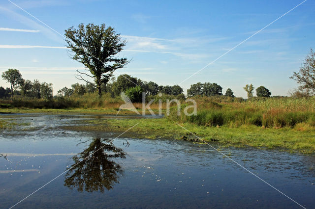 Empese en Tondense Heide