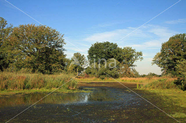 Empese en Tondense Heide