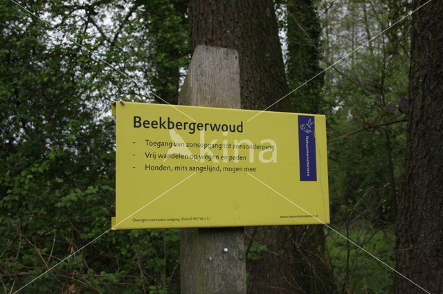 Beekbergerwoud