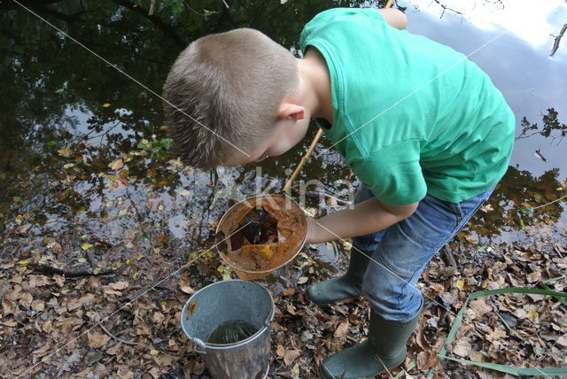 Landgoed Het Woudhuis