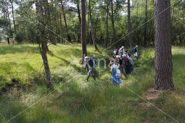 Leemputten Staverden