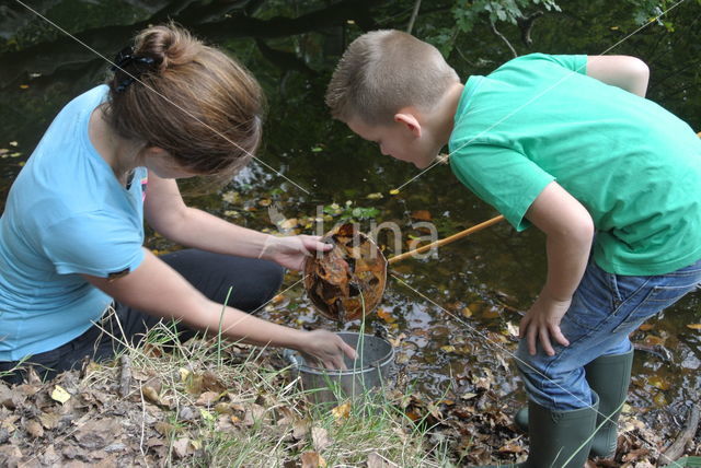 Landgoed Het Woudhuis