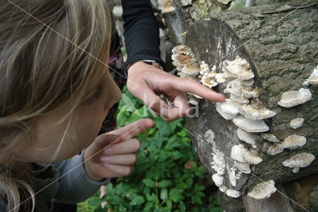 Landgoed Het Woudhuis