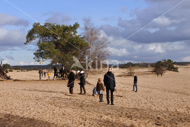 Kootwijkerzand