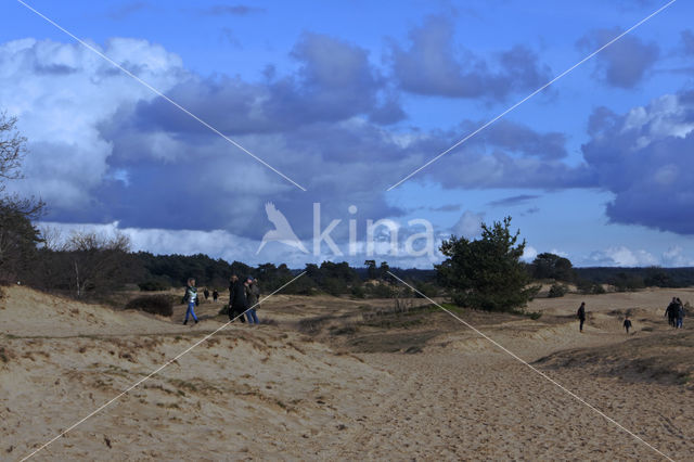 Kootwijkerzand
