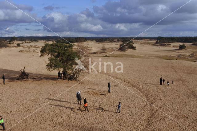 Kootwijkerzand