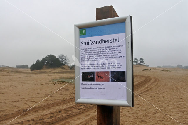 Kootwijkerzand