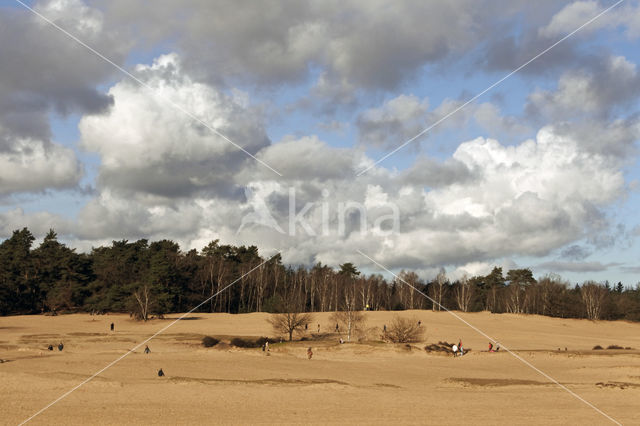 Kootwijkerzand