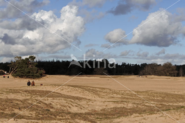 Kootwijkerzand