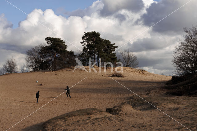 Kootwijkerzand