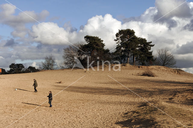 Kootwijkerzand