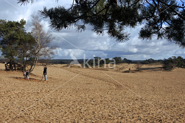 Kootwijkerzand