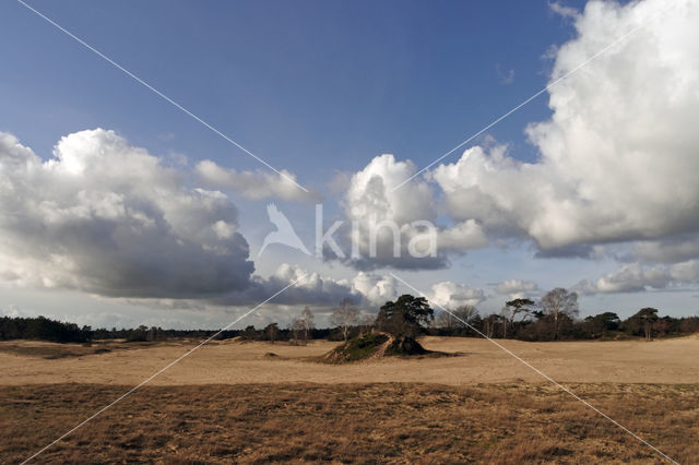 Kootwijkerzand