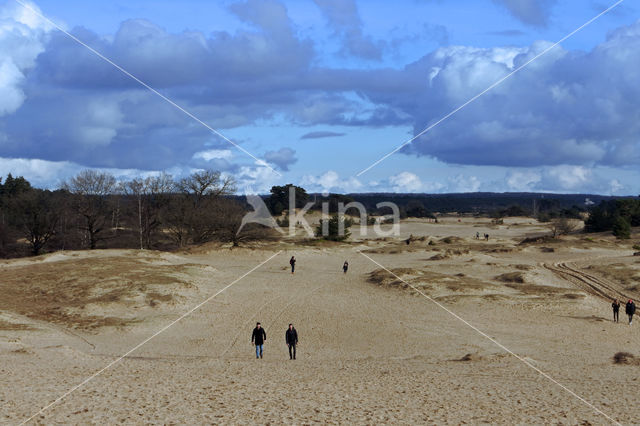 Kootwijkerzand