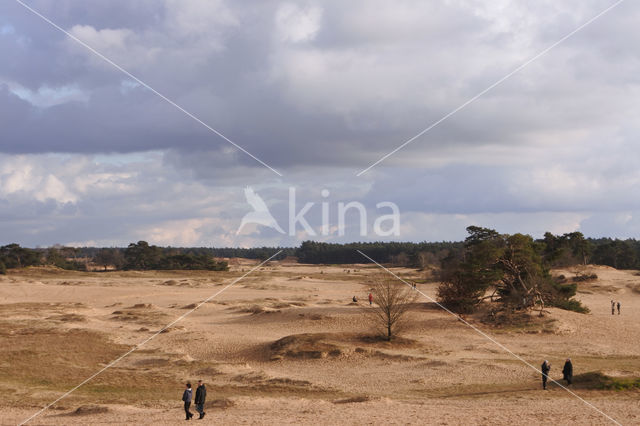 Kootwijkerzand