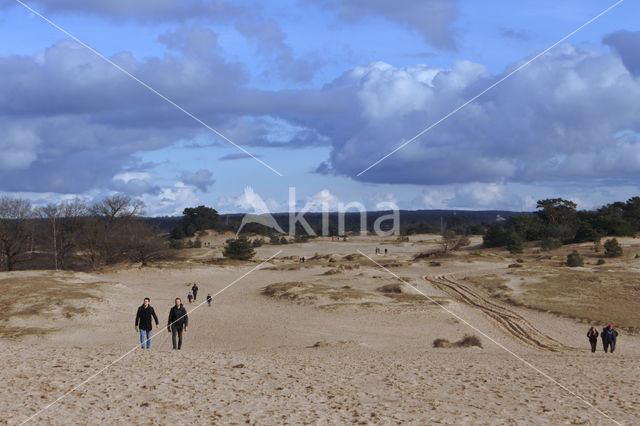 Kootwijkerzand