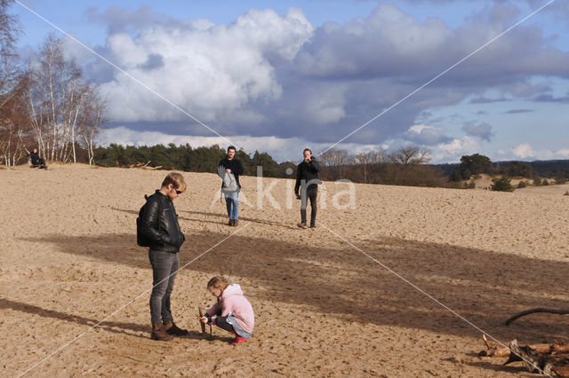 Kootwijkerzand