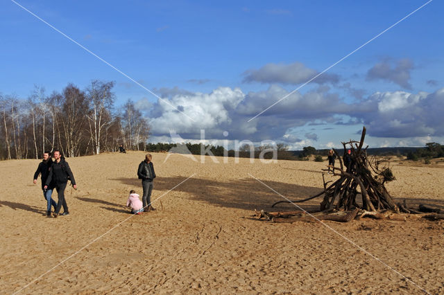 Kootwijkerzand