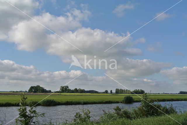 Molen De Zwaluw