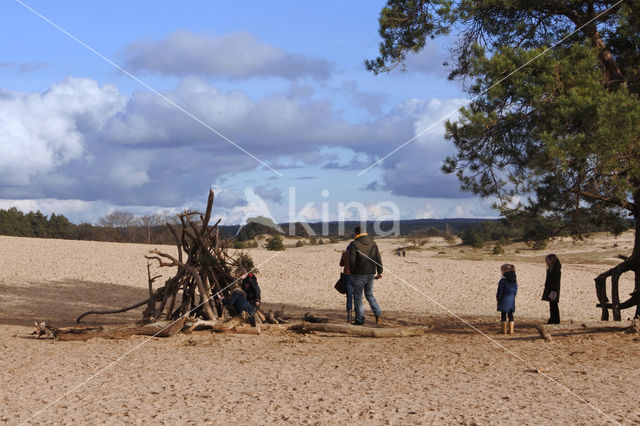 Kootwijkerzand