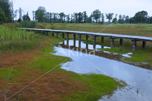 Empese en Tondense Heide