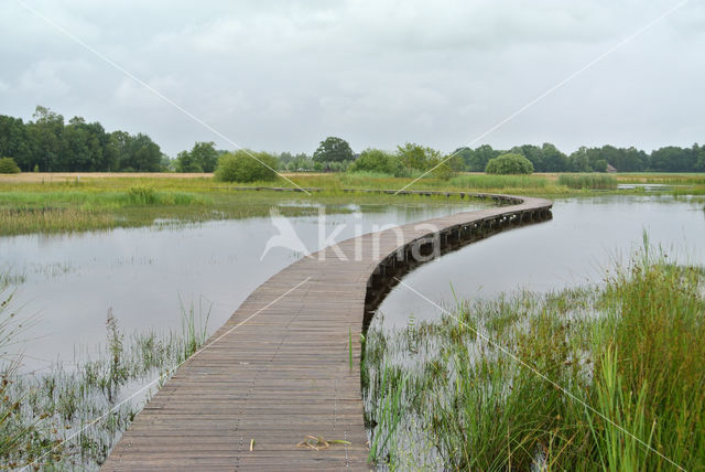 Empese en Tondense Heide