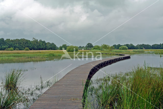 Empese en Tondense Heide