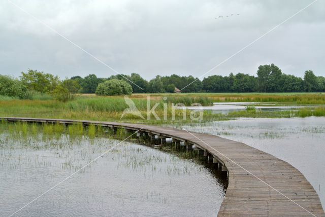 Empese en Tondense Heide