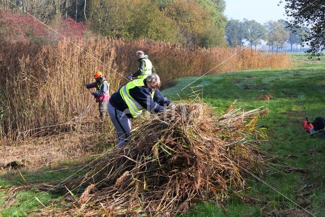 Klarenbeek