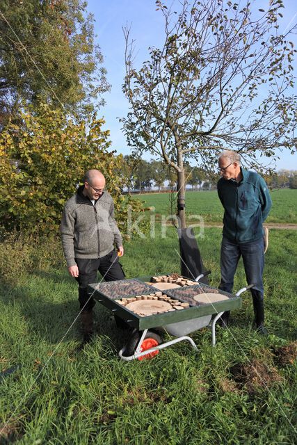 Klarenbeek