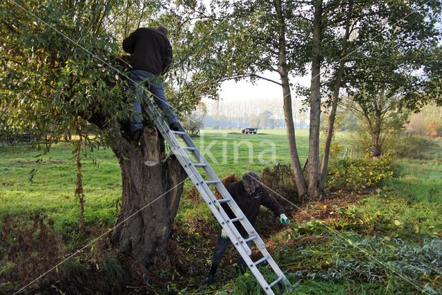 Klarenbeek