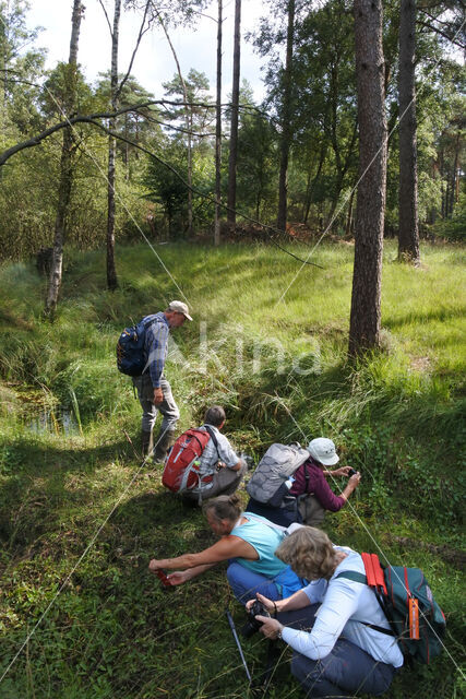 Leemputten Staverden