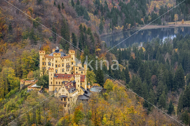 Schloss Hohenschwangau