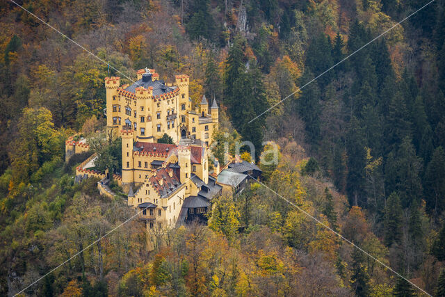 Schloss Hohenschwangau