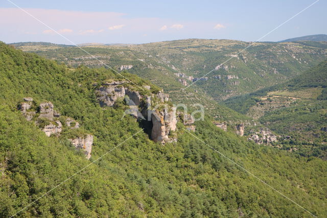 Cévennes