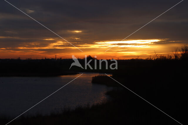 Amerongse Bovenpolder