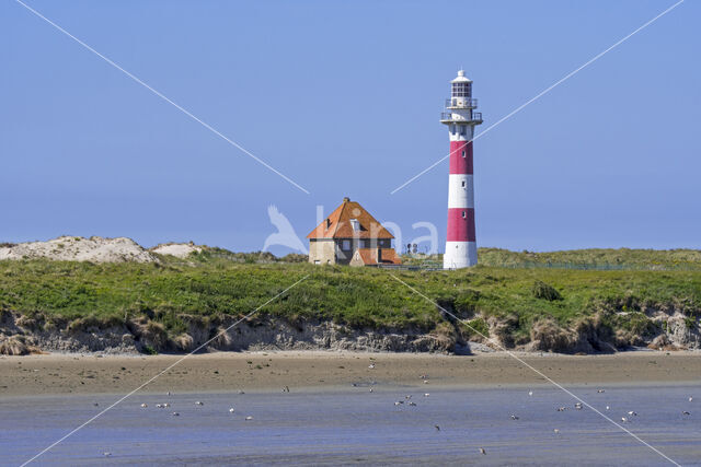 Nieuwpoort Lighthouse