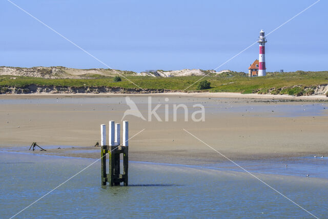 Nieuwpoort Lighthouse