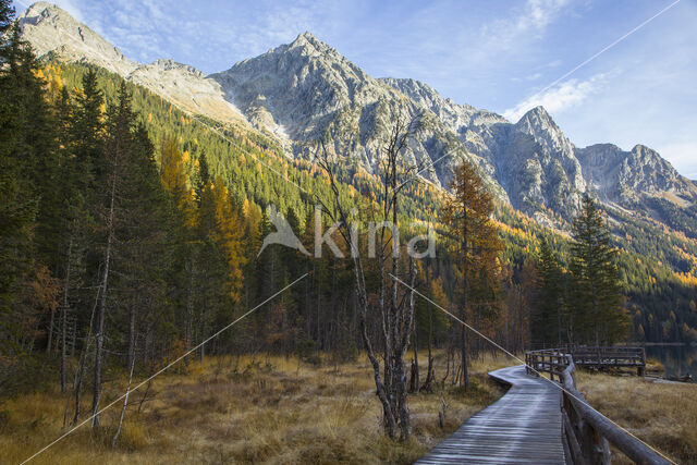 Antholzer See