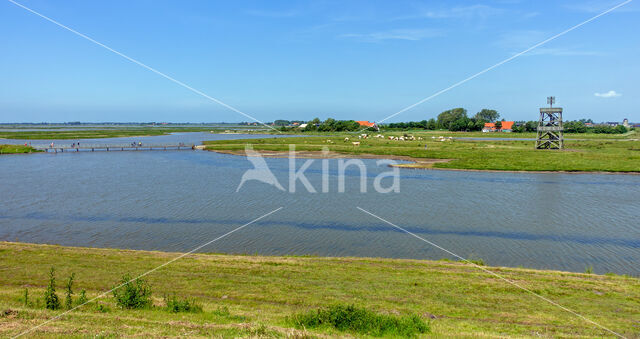 bird hide