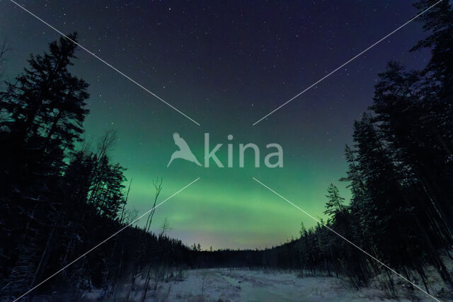 aurora borealis