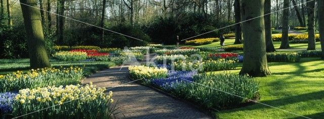 Keukenhof