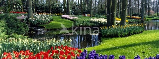 Keukenhof