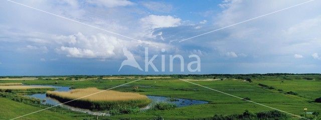 Nationaal park Schiermonnikoog